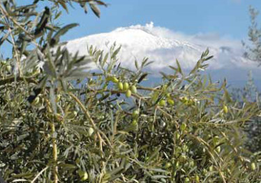 dop monte etna