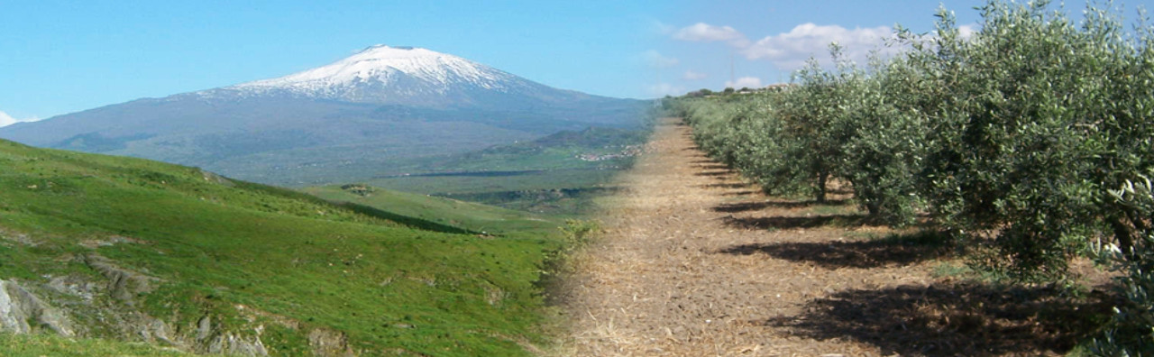 territrorio dop monte etna